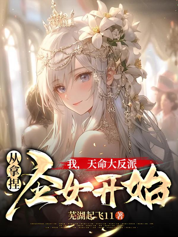 从拿捏圣女开始小说