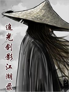 刀光剑影江湖录