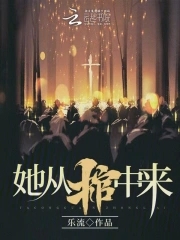 她从雾中来电视剧