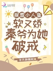 小人鱼报恩全集
