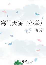 寒门科举小说