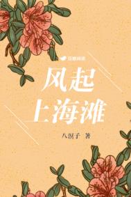 风雨上海滩电视剧全集西瓜视频